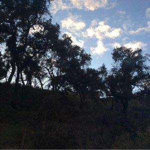 Meet your Posher, Eva